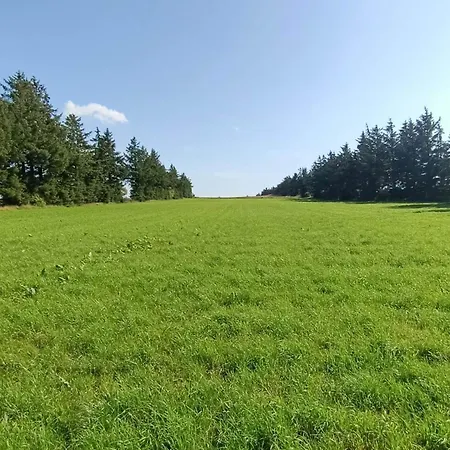 7 Person In Toftlund-by Traum