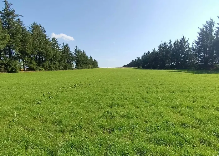 7 Person In Toftlund-by Traum